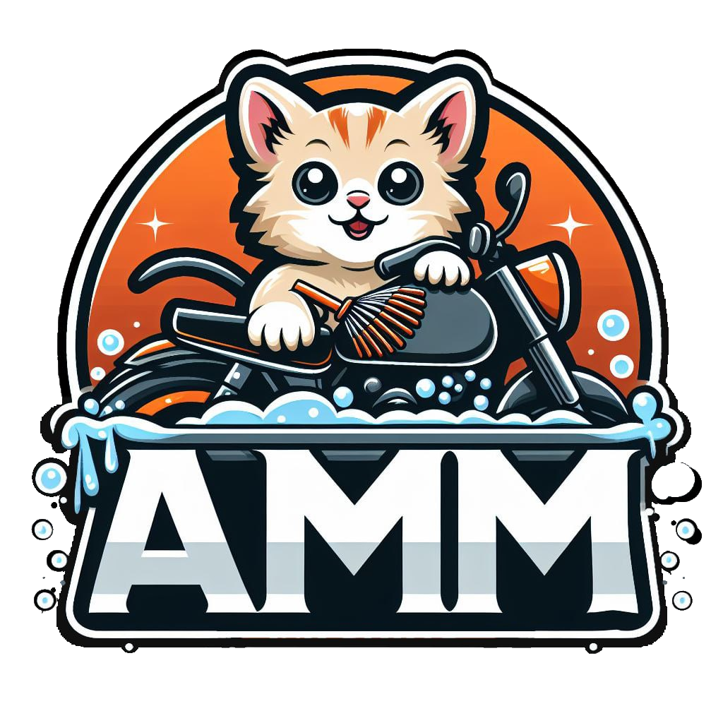 AMM Workshop